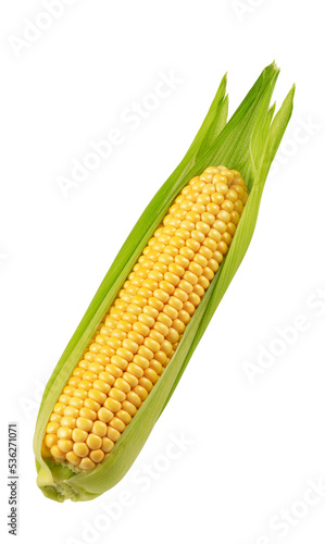 corn ear with leaves isolated on white. the entire image in sharpness.