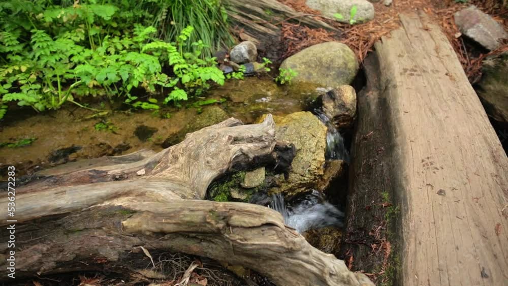 Babbling Brook flowing under fallen log in Big Sur redwood forest. Babbling Brook flowing under fallen log in Big Sur redwood forest.