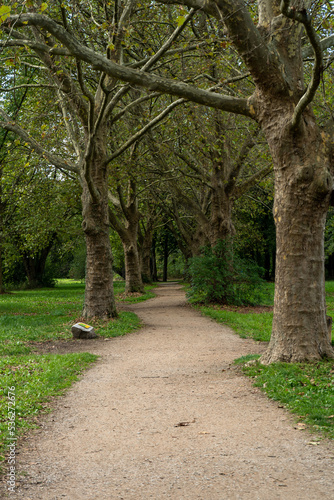 Kleine Allee im Park