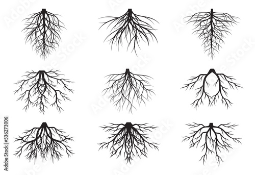 A set of black Tree Roots. Vector outline Illustration. Plant and Garden.