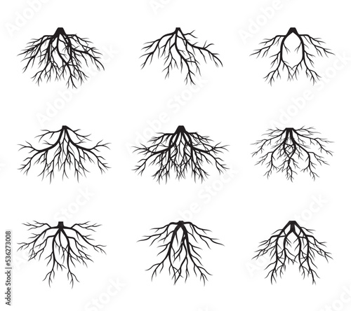A set of black Tree Roots. Vector outline Illustration. Plant and Garden.