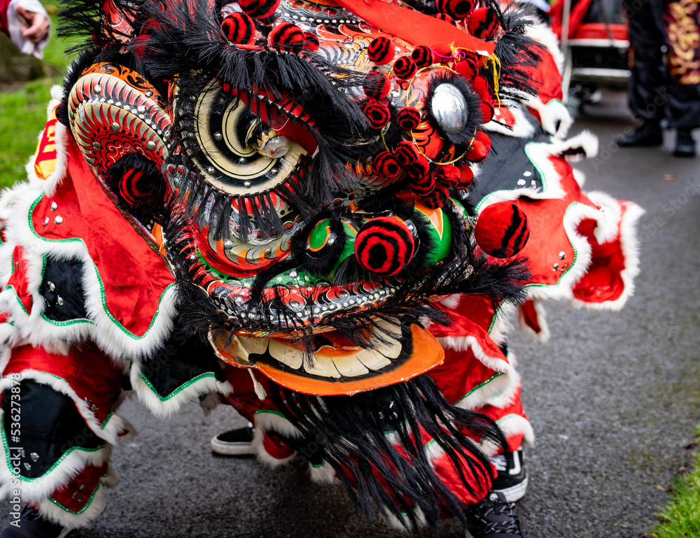 Chinese dragon street costume for lunar new year