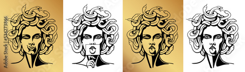 Medusa gorgon logo. Head of a woman with snakes. Protective amulet. Logo for different directions. Vector image. photo