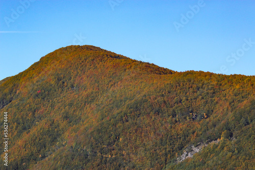 colors of the forest in autumn beech and fir trees in the modenese apennines frignano regional park photo