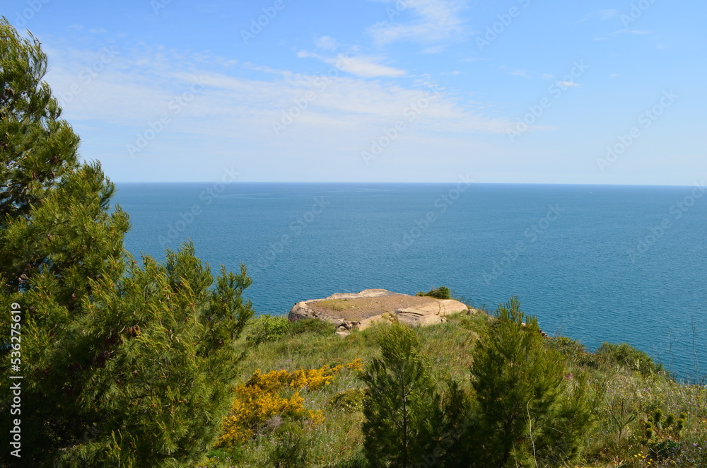 Collioure (Pyrénées Orientales - Occitanie - France) 