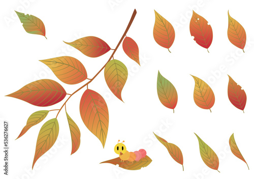 紅葉した木の葉セット