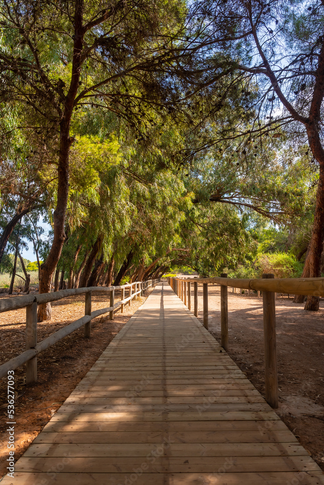 Beautiful wooden walkway on the path of the Lagunas de la Mata Natural Park in Torrevieja, Alicante Beautiful wooden walkway on the path of the Lagunas de la Mata Natural Park in Torrevieja, Alicante
