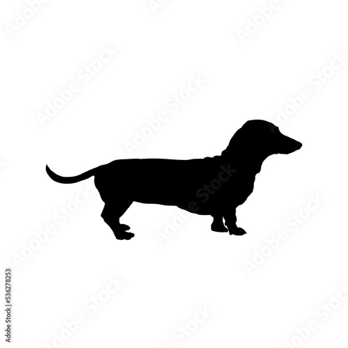 dachshund, silhouette of a dachshund