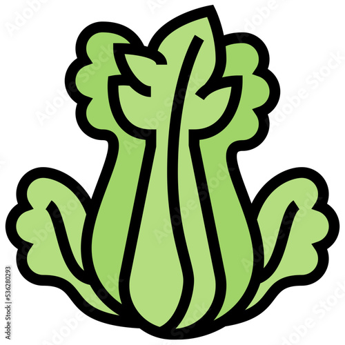 celery icon