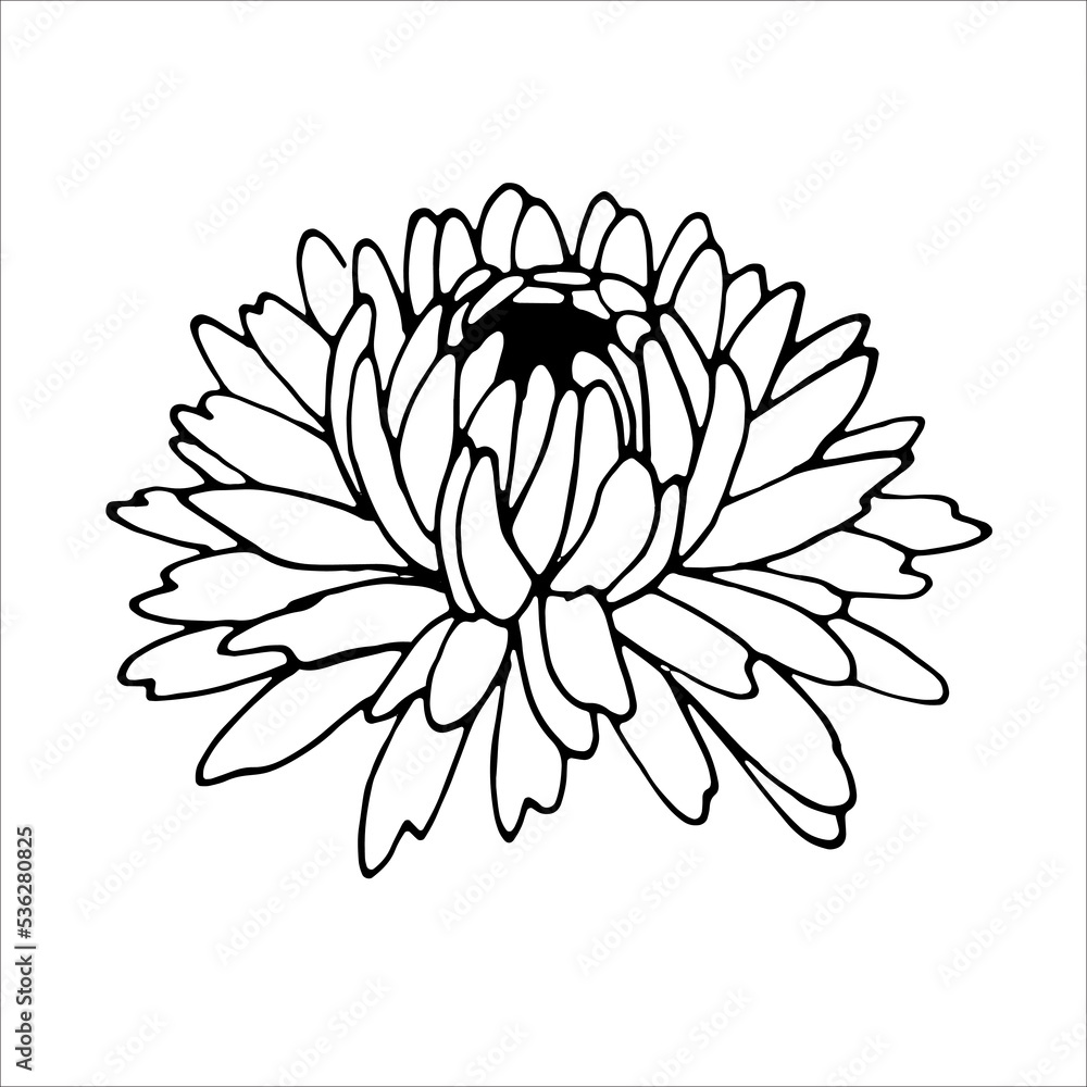 Autumn flowers EPS outline for product design Autumn flowers EPS outline for product design