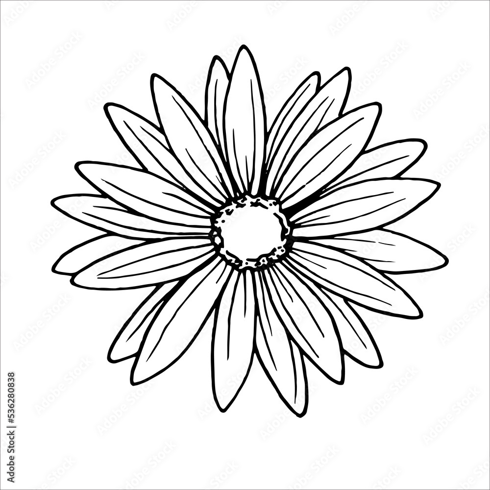 Autumn flowers EPS outline for product design Autumn flowers EPS outline for product design