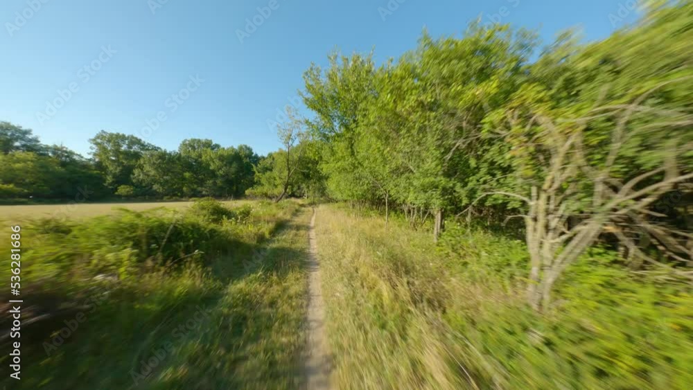 biking run single track dirt gravel trail path tall grass. Smooth first person view POV cycling ride and run biking run single track dirt gravel trail path tall grass. Smooth first person view POV cycling ride and run