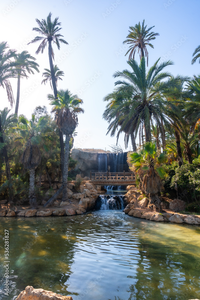 Beautiful lakes, ponds and wooden bridges in the El Palmeral park in the city of Alicante
