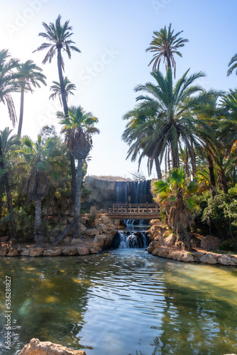 Beautiful lakes  ponds and wooden bridges in the El Palmeral park in the city of Alicante