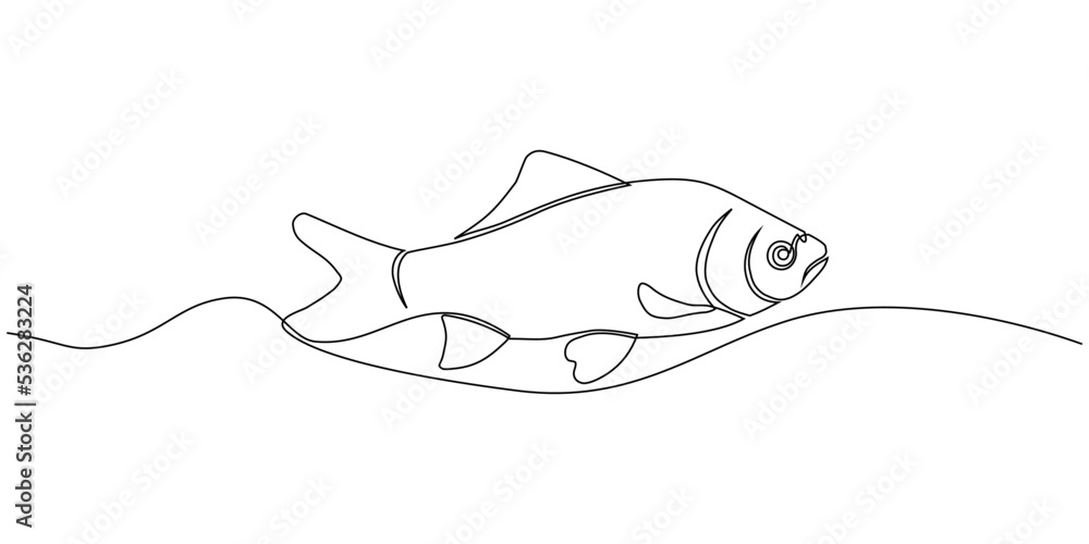 Fototapeta premium fish