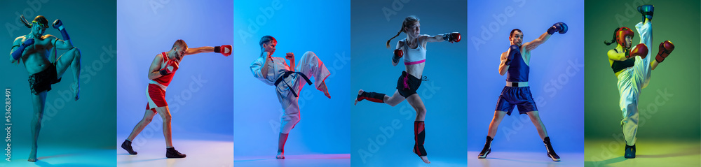 Combat sports. Sport collage of professional male and female athletes posing isolated on multicolored background in neon.