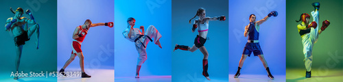 Combat sports. Sport collage of professional male and female athletes posing isolated on multicolored background in neon. © master1305