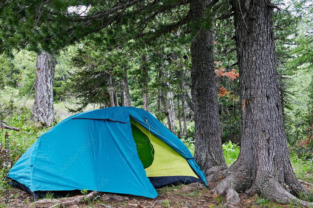 Camp in wild forest