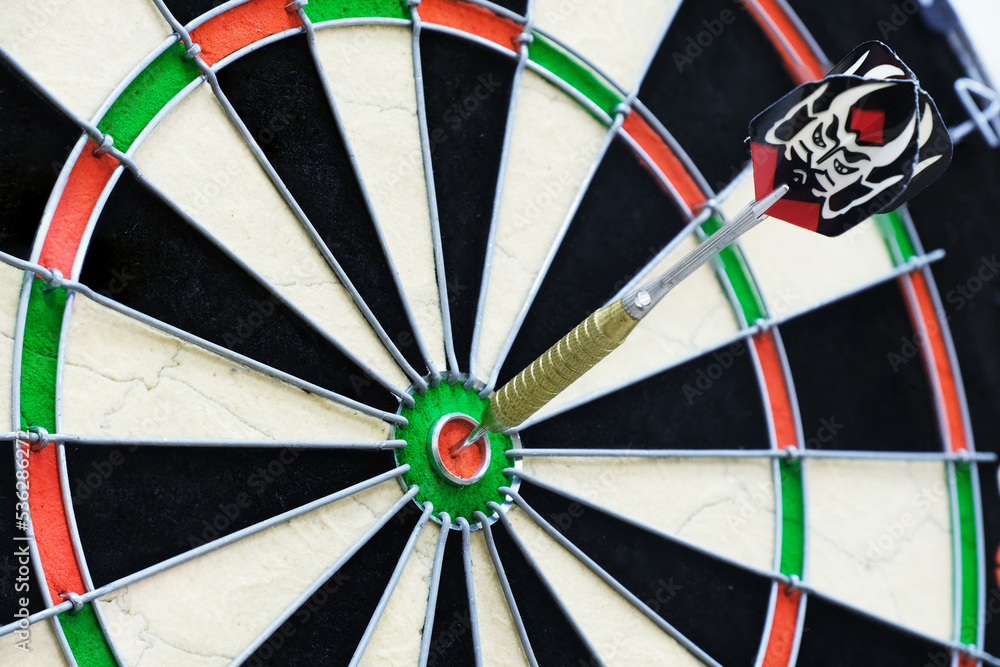 darts game in detail darts game in detail