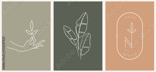 Vector nutrition design linear key and hand logos templates in trendy linear minimal style. Celestial and magical abstract.