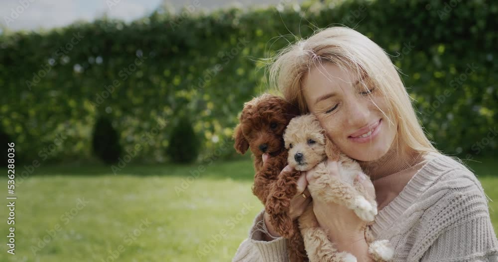 Portrait of a young woman, presses cute fluffy puppies to her cheek Portrait of a young woman, presses cute fluffy puppies to her cheek
