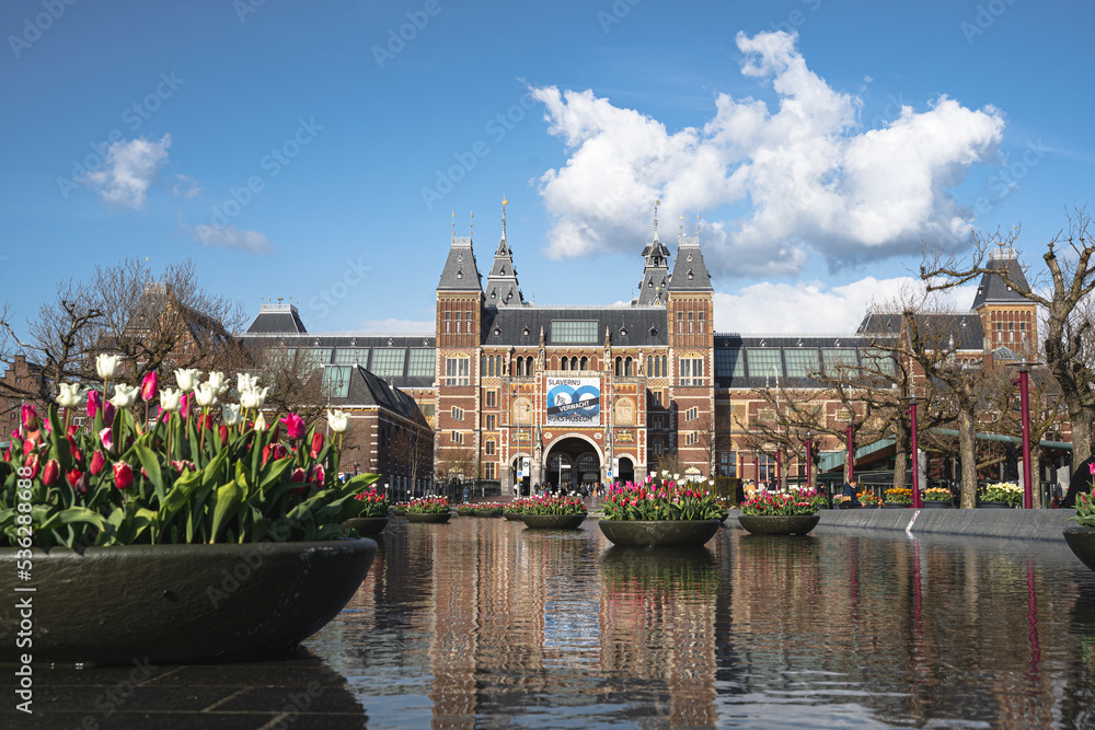 Rijksmuseum with Tulips Museum in Amsterdam Netherlands Holland Spring