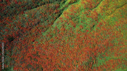 紅葉の栗駒山を空撮