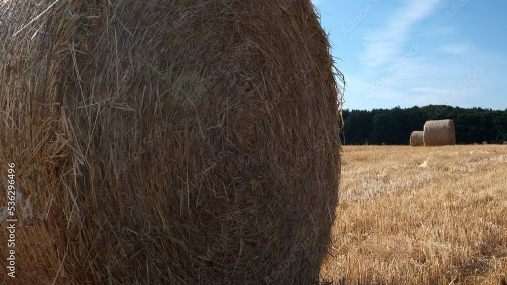 pan shot of hay bails fresh from harvest in the field in England on a sunny hot day in the summertime pan shot of hay bails fresh from harvest in the field in England on a sunny hot day in the summertime