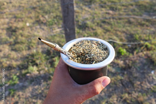 Yerba mate en el campo por la tarde con un bombilla