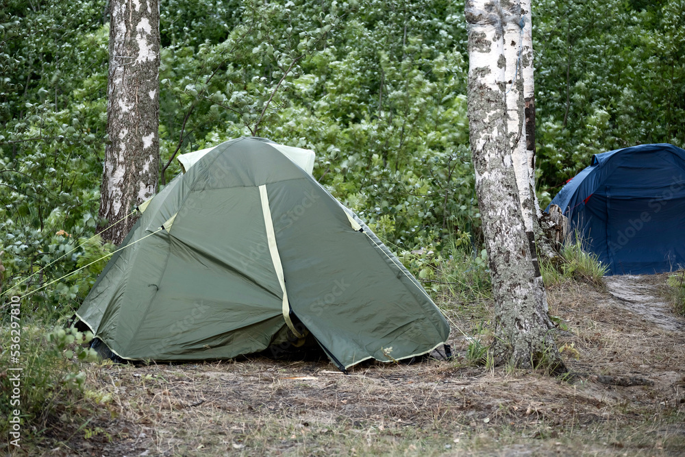 Tent camp in mixed forest. Life in tent camp, outdoor recreation. Concept of recreation away from noisy polluted cities in nature. Journey on foot to wild places. Tourists pitch tents in the forest.