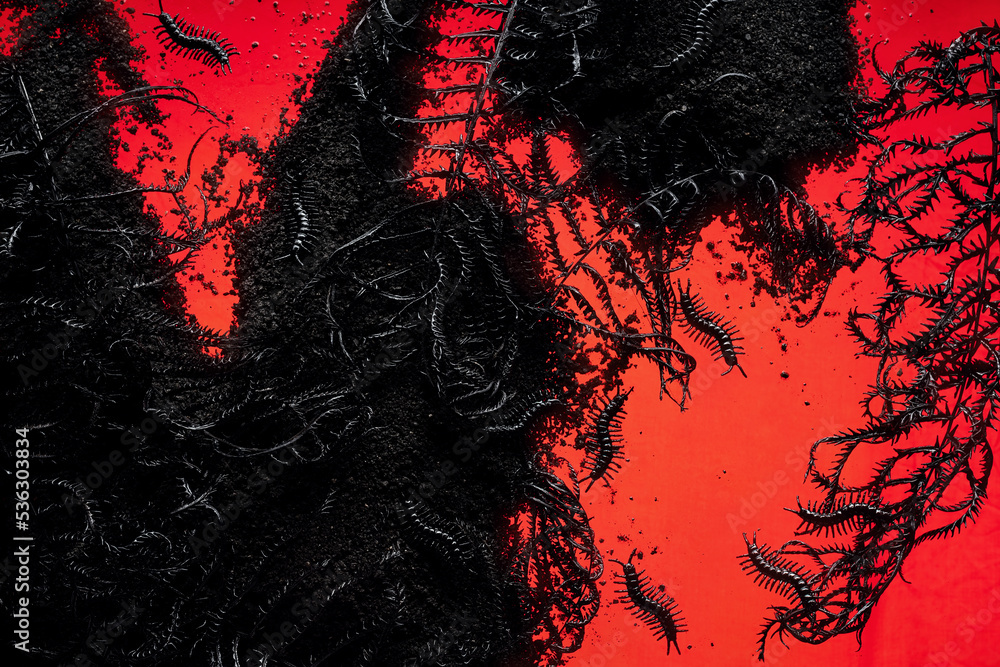 Creepy black fern with centipedes on black ground above glowing red background Creepy black fern with centipedes on black ground above glowing red background