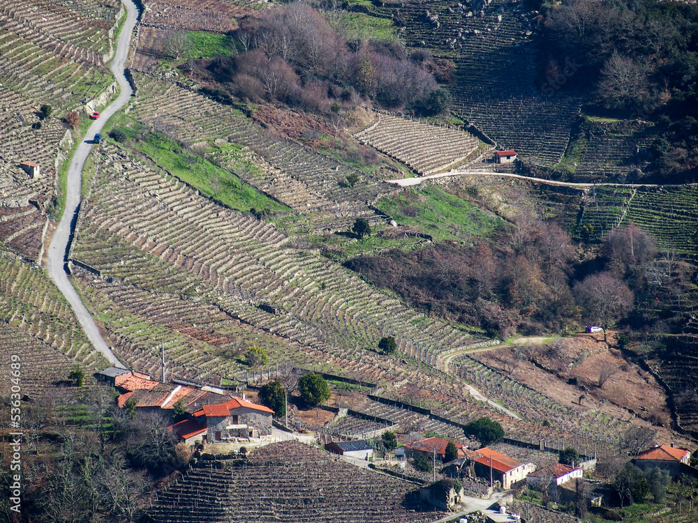 Paisaje de la Ribeira Sacra. Se pueden apreciar los viñedos en terrazas (socalcos) debido a la orografía de esta bonita zona de Galicia. España.