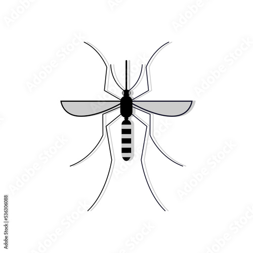 art illustration symbol macot animal icon design nature concept insect of mosquito photo