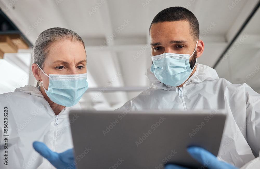 Scientist team, covid laboratory research and tablet information, data analysis and medical test results. Science experts with face masks ppe planning digital innovation, vaccine development and tech Scientist team, covid laboratory research and tablet information, data analysis and medical test results. Science experts with face masks ppe planning digital innovation, vaccine development and tech