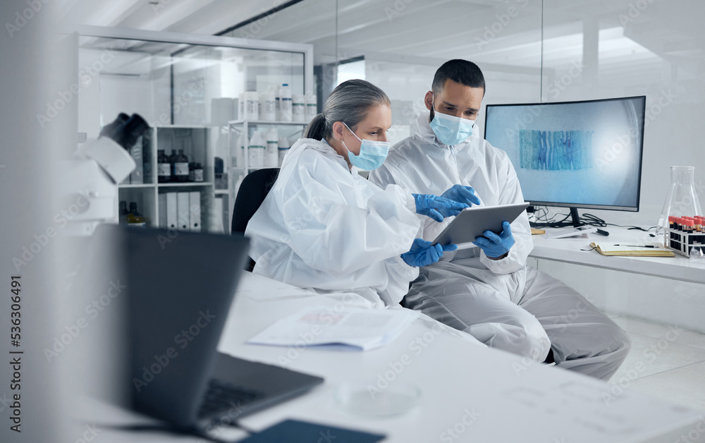Obraz premium Covid research, tablet and science with a man and woman scientist working in a lab for innovation and healthcare. Medical, internet and analytics with a medicine team at work in a laboratory