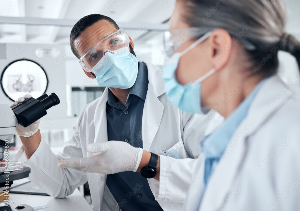 Scientist team, microscope and covid analysis in a research or science lab to study virus for safety, medicine or medical cure. Man and woman biologist collaboration for innovation and breakthrough Scientist team, microscope and covid analysis in a research or science lab to study virus for safety, medicine or medical cure. Man and woman biologist collaboration for innovation and breakthrough