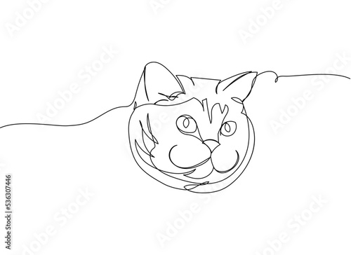 Cat head one line art. Continuous line drawing of pet, mammal, kitten, purebred, breed, friendship, kitty, friend, pedigree, character.