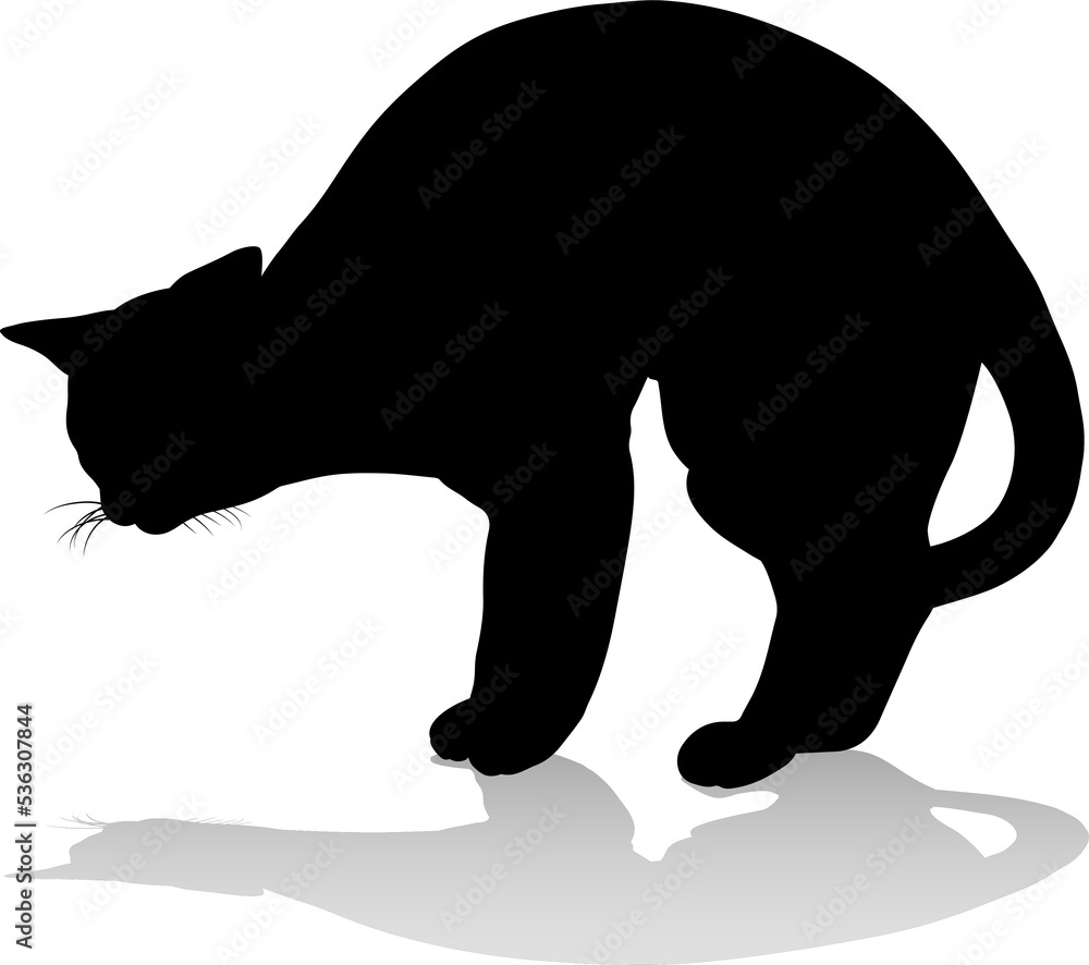 Silhouette Cat Pet Animal Silhouette Cat Pet Animal