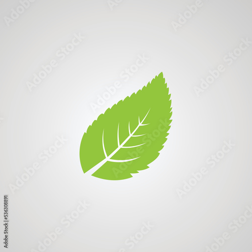Eco icon green leaf isolated vector illustration.
