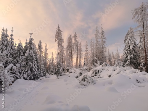 Winter im Harz © Jrdis