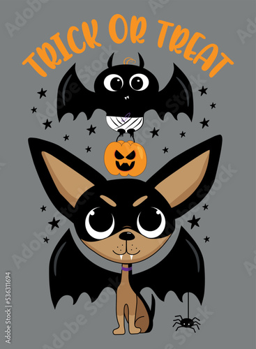 Trick or treat - cute baby bat and chihuahua dog with bat wings. Scary pumpkin and little spider. Cartoon greeting crad for Halloween.