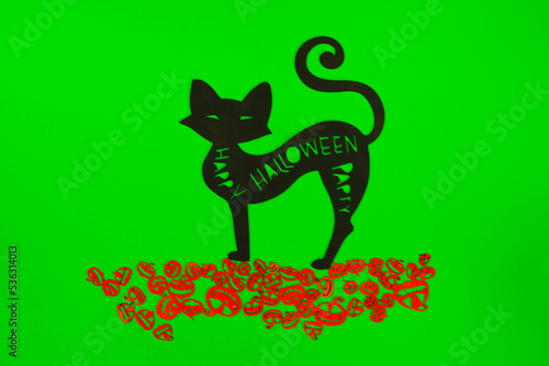 Halloween Pumpkins and Black cat on the green screen background.