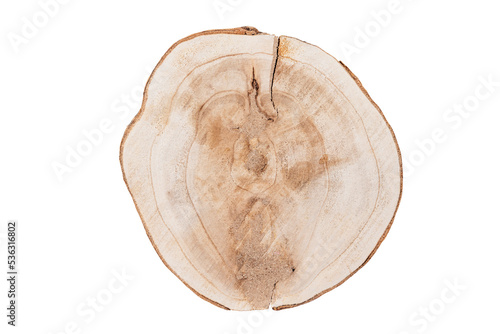 legno tronco photo