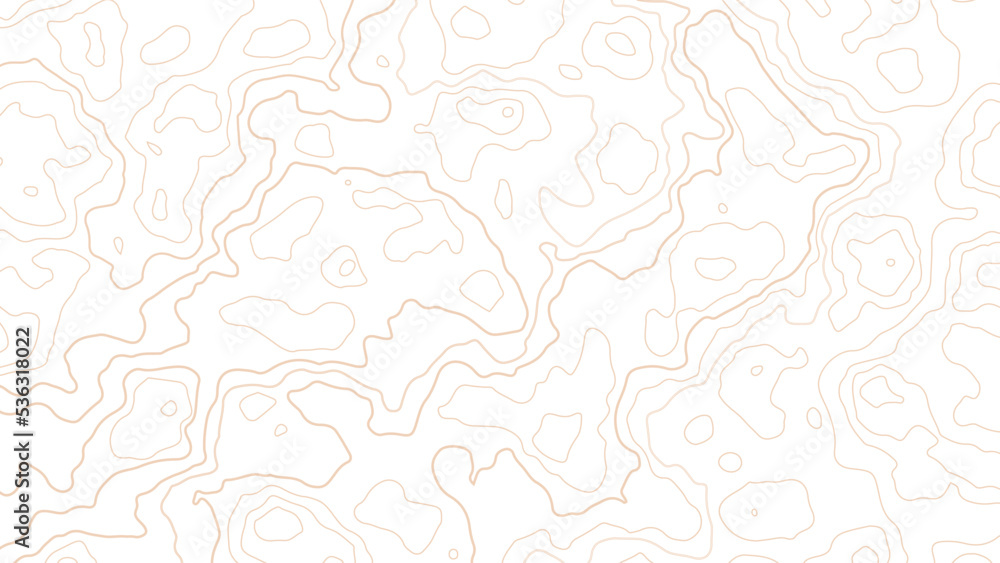 Fototapeta premium Background of the topographic map. Topographic map lines, contour background. Geographic abstract grid. vector illustration.