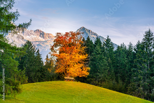 Herbststimmung  mit Blick auf die Allgäuer Hochalpen