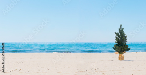Kleiner Weihnachtsbaum am Strand