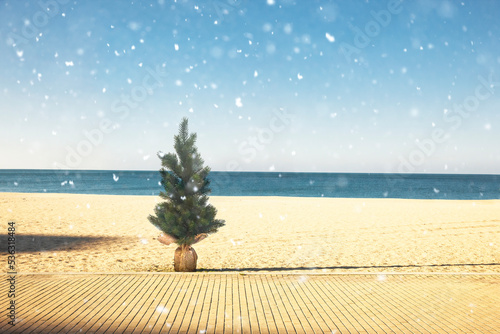 Kleiner Weihnachtsbaum am Strand mit Schneeflocken