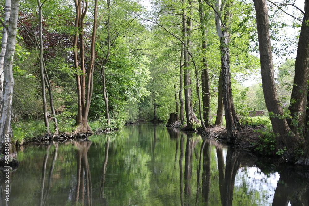 Obraz premium Spreewald