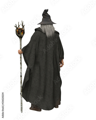 Quadro em tela Wizard or sorcerer with long grey hair, grey cloak, pointed hat and magic staff