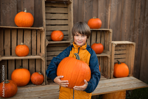 Cute happy toddler boy in the pampking farm outdoor before Thanksgiving day. Pumpkin harvest in autumn. Helloween concept